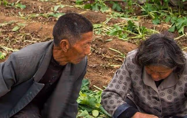 女子第一次去雲南男友家,吃了一天飯就選擇離開:我不想委屈自己