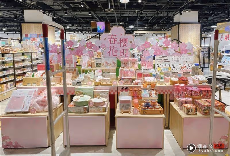 限時五天!身份證對中3、8、女、王任一字 PONY門市現領女王專屬抵用金