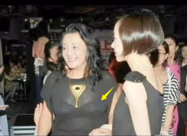 張蘭被罵「無底線」,被扒也穿過透視裝,回應針對大S的原因!