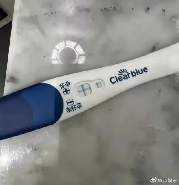 73歲張紀中喜迎第5個孩子!三婚妻子杜星霖懷4胎,混血兒身世曝光