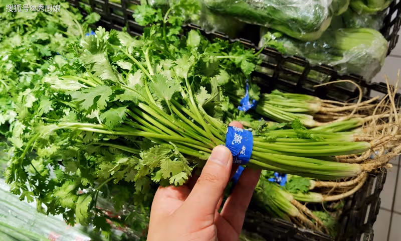人到中年別心疼錢,多吃3種「鹼性菜」,保持酸鹼平衡,健康長壽