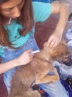 臥槽?我真的給她跪了……