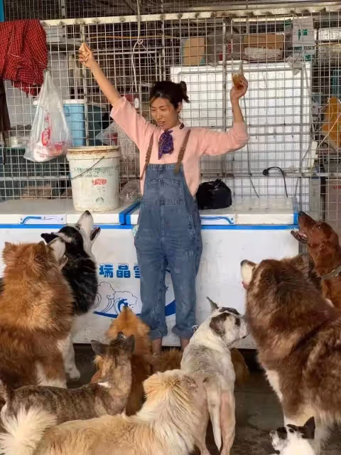 臥槽?我真的給她跪了……