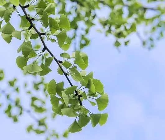 5月,4個星座女,有容有貌還有智慧,知道想要什麼,成功不在話下