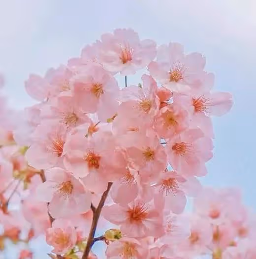 5月,4個星座女,有容有貌還有智慧,知道想要什麼,成功不在話下