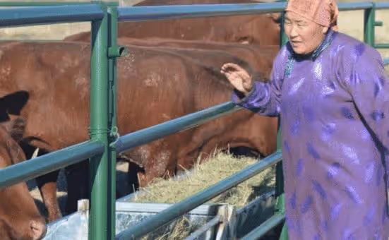 愛情並非一帆風順,需要互相理解和包容,屬牛人會認真經營