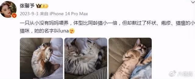 張馨予曬老公,何捷留長頭髮穿千元潮牌超帥,在「女兒」面前爭寵