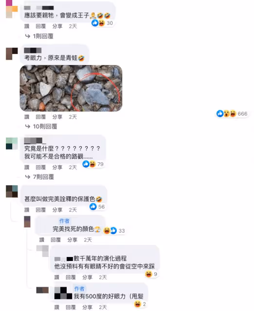 你有找到嗎?她走石路「差點踩到青蛙」PO照來找碴 網全投降「她紅筆一圈」恍然大悟