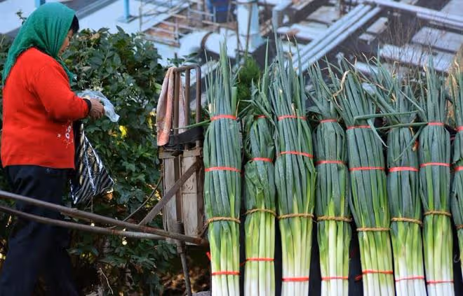 噴葉面肥、除草劑、殺蟲劑、殺菌劑，學會加點有機矽，防效更好