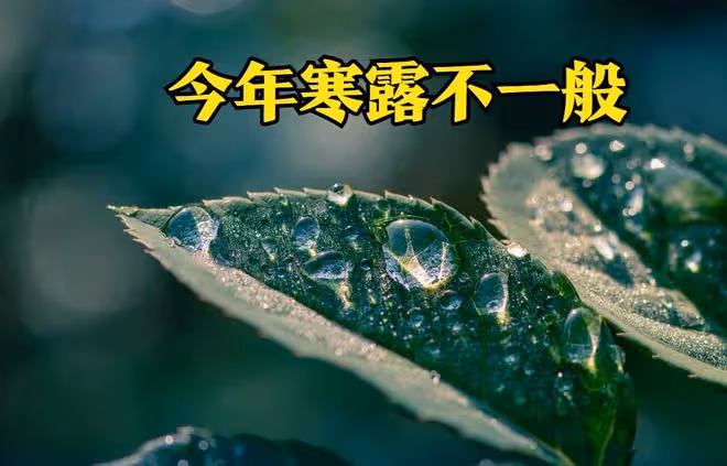 今年寒露不一般，老人總結出2個特點，可預知秋冬冷暖，早防備
