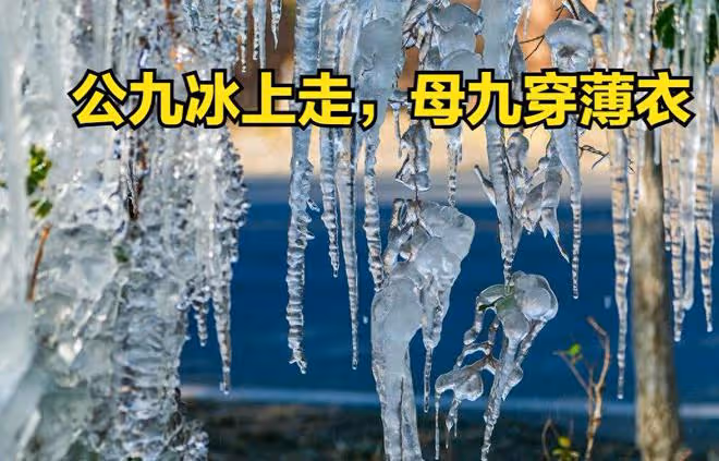 「公九冰上走,母九穿薄衣」,今年數九天是公是母?冬天很冷嗎?