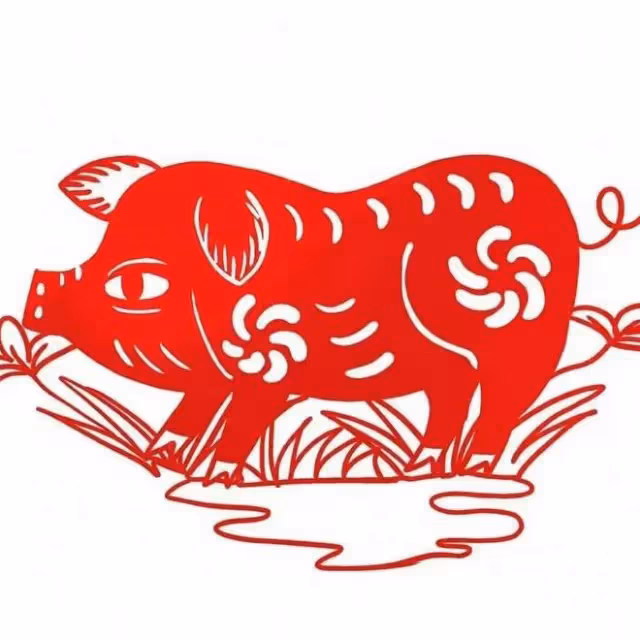 2024生肖豬這兩大禁忌,看看你中招了沒!