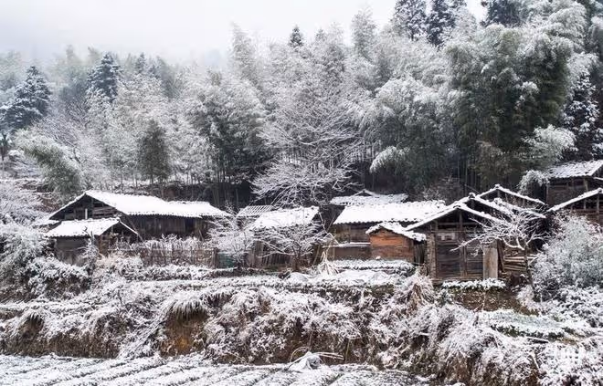2024年哪天「出九」?老人說「九盡正月,餓死老爺」,啥意思?