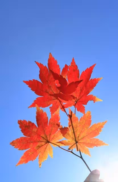 12月份摩羯座,貴人相助鴻運開,福綠壽喜財滿堂,福星高照喜洋洋