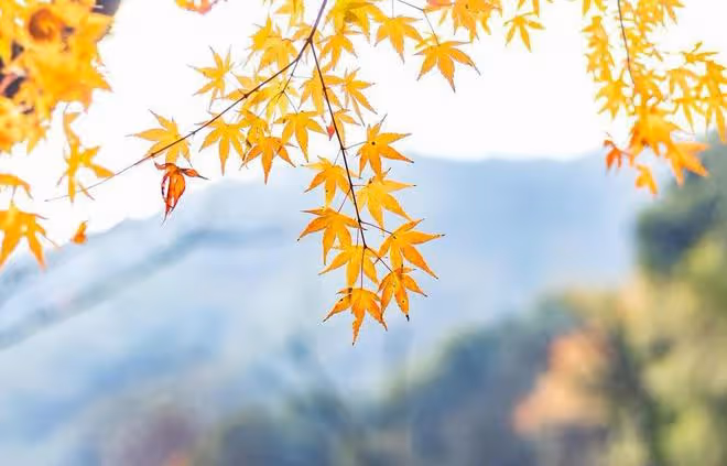12月份摩羯座,貴人相助鴻運開,福綠壽喜財滿堂,福星高照喜洋洋