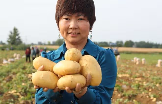 春天哪些蔬菜要早種?哪些蔬菜要晚種?選對時間是關鍵