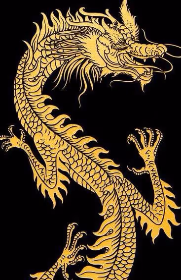 你要發大財了，生 肖龍，提前恭喜你，你最近要轉大運，發大財！