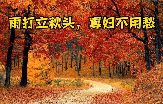 「雨打立秋頭，寡婦不用愁」，今日立秋下雨，寡婦為啥不愁？