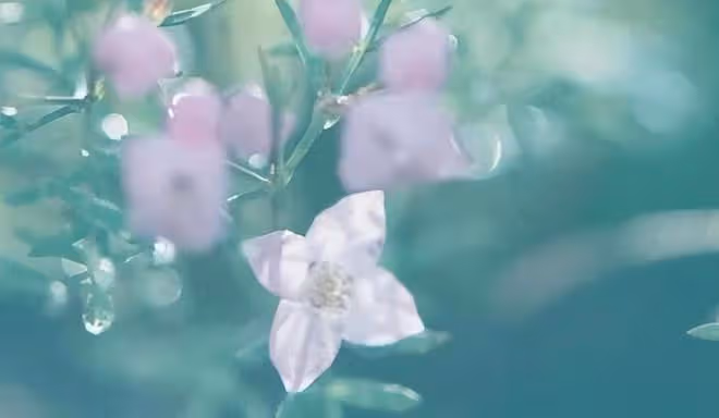 「人有貴相，一看便知」：自帶貴氣的人，多半有這三個特徵
