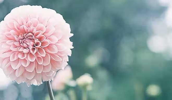 「人有貴相，一看便知」：自帶貴氣的人，多半有這三個特徵