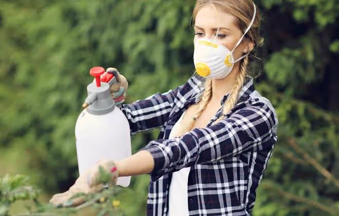 蔬菜蟲害防治難？學會用微生物來防治，蟲害少、無農藥殘留