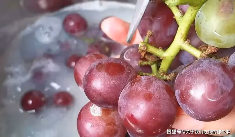 洗葡萄時，有人用麵粉，有人用鹽？教您最正確做法，蟲卵跑光光