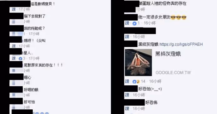 他家飛進一隻飛蛾,幾秒後竟「竄出4根絨毛觸手」令人發毛!網友興奮喊:「你超幸運!」