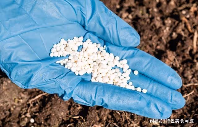 種植茄果、瓜果、豆角，五種肥料要慎用，別說設告訴你
