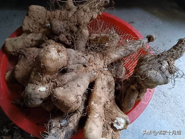 我76歲，活成一個笑話！過年天天做3頓飯，全家10個人，沒1人幫忙