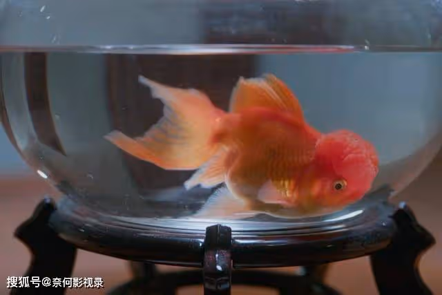 《江河日上》大結局，乍看之下很圓滿，實則卻是個徹頭徹尾的悲劇