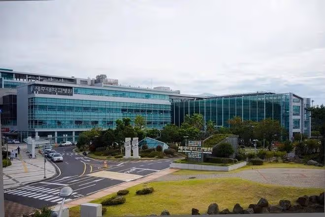 【招生簡章】2024年9月濟州國立大學本科