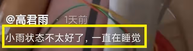 實錘了!「點讀機女孩」承認欺騙網友,已重新編輯文案!