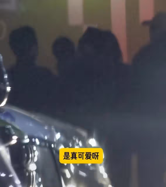 章子怡帶娃參加《醬園弄》殺青宴,貼心親吻兒子,4歲兒子皮膚白