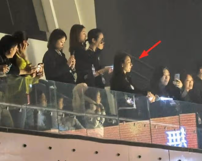 方媛全家助陣郭富城演唱會,2個女兒不停向爸爸揮手,俏皮又可愛