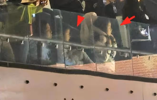 方媛全家助陣郭富城演唱會,2個女兒不停向爸爸揮手,俏皮又可愛
