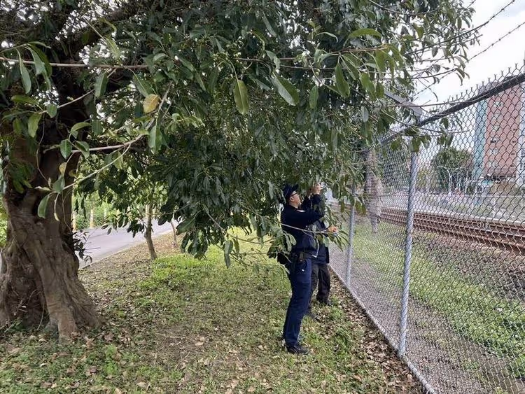 34歲女「與男友吵架」翻闖捷運軌道　衝動代價慘！恐面臨百萬罰款