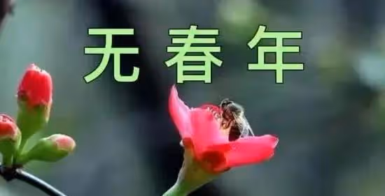 明年是「無春年」俗稱「寡婦年」，民間有啥說法？立春跑哪去了