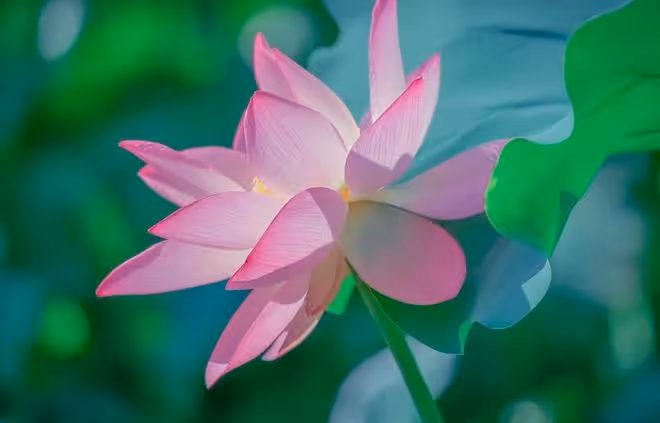 做人，一定要「狠」