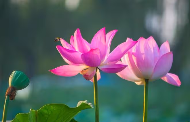 做人，一定要「狠」