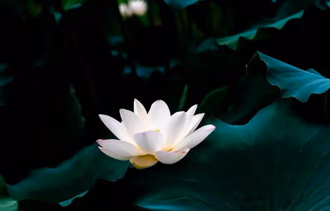 做人，一定要「狠」