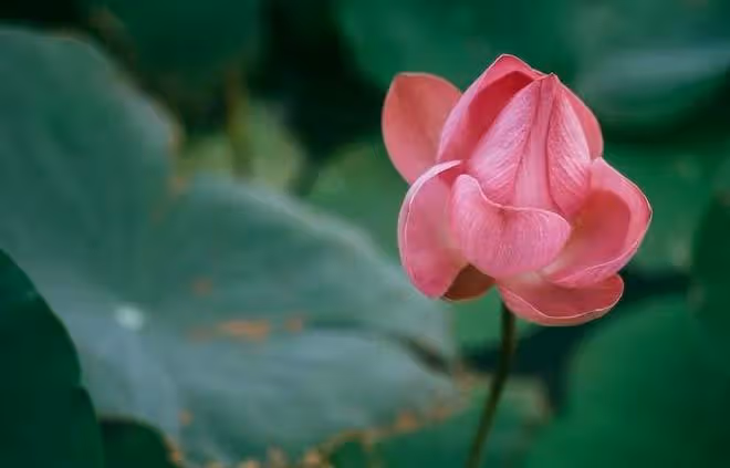 打動一個中年女人，除了錢，就是這3樣東西