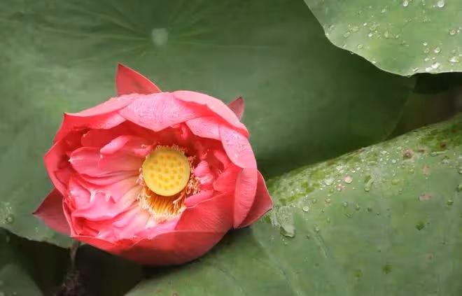 當你糾結要不要離婚時，看清這些問題，你就有答案了