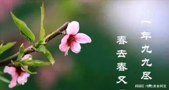 九盡花不開,水果擠破街!今日「出九」,這句話又預示著什麼?