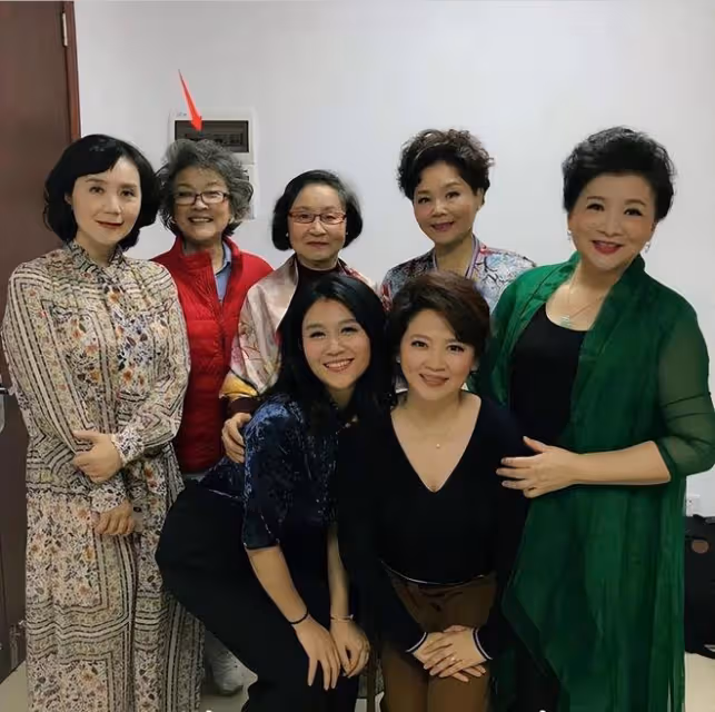 宋春麗這樣挺好的,滿頭白髮有老人真實感,比那些裝嫩打針強太多