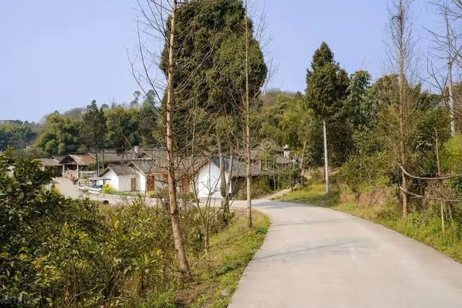 村裡組織捐錢修路，我隨手捐了9000元，誰知卻遭到一些長輩的不滿