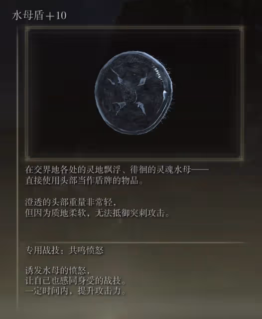 《艾爾登法環》1.10高周目畢業法師流派配裝