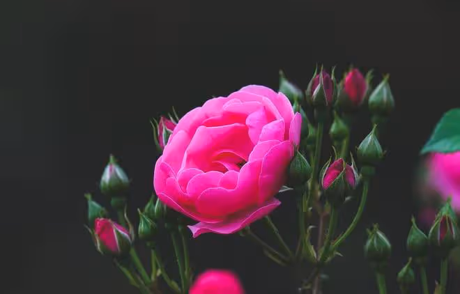 夫妻相處,想要「感情越來越好」,一定要做到3件事