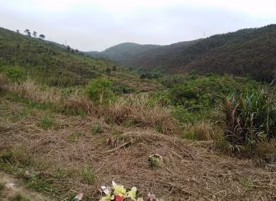 「雨淋新墳,騾馬成群」,新墳被雨淋真能改變命運嗎?有啥說法?