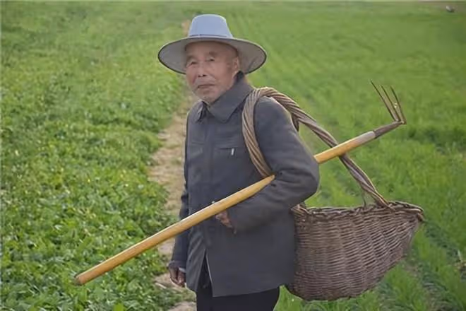 17年河南一農民撿到只凶鳥,竟價值600多萬,專家:幸好沒放生!