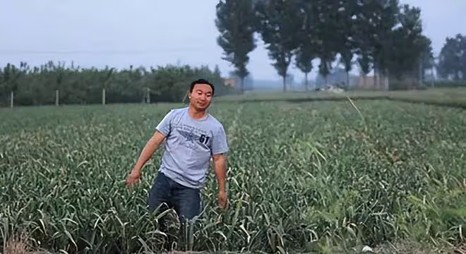 17年河南一農民撿到只凶鳥,竟價值600多萬,專家:幸好沒放生!